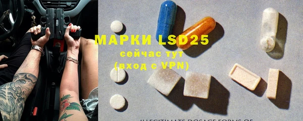 шишки Чердынь