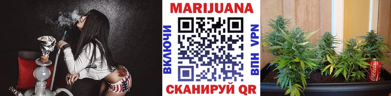 Каннабис планчик  что такое наркотик  ОМГ ОМГ ССЫЛКА  Новосокольники 